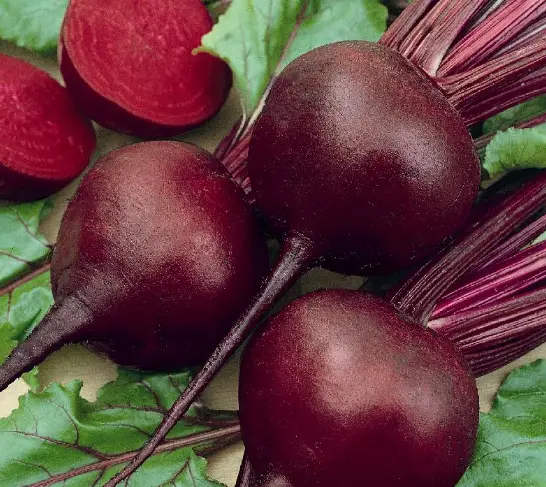 25 Types Of Beets With Pictures Names Own Yard Life