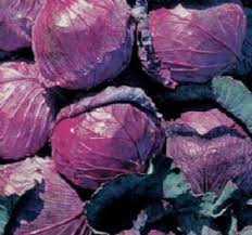 25 Types of Cabbages (With Pictures)