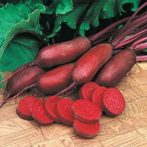 25 Types of Beets (with Pictures & Names)
