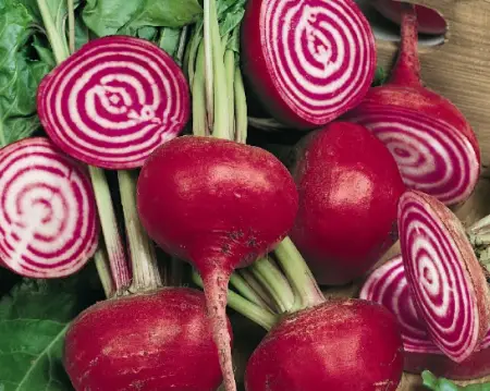 Striped Beets