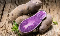 Purple Potatoes Care and Growing Guide with Ultimate Tips