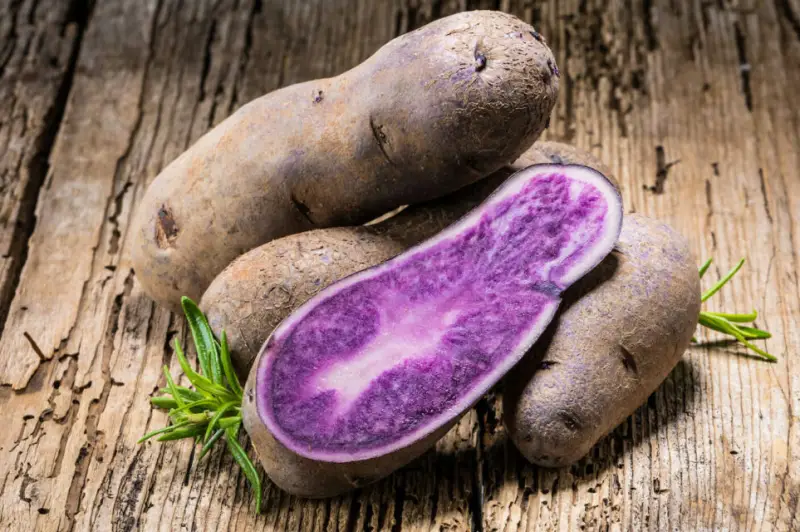 Purple Potatoes