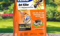 7 Best Ant Killer for Outdoors, Indoors and Lawns