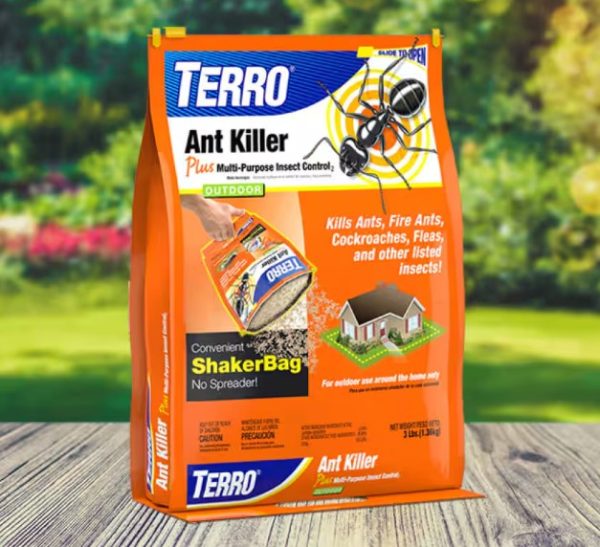 Best Ant Killer