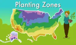 Planting Zones by Zip Code: Detailed Climate Zone Table