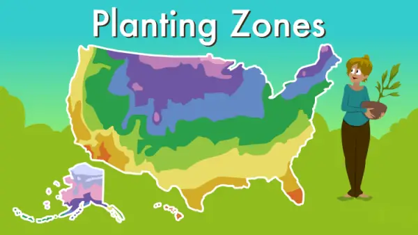 Planting Zones by Zip Code