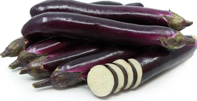 Types of Eggplants