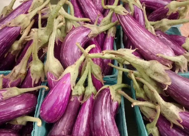 21 Types Of Eggplants With Pictures And Care Guide Fairy Tale Eggplant 768x554