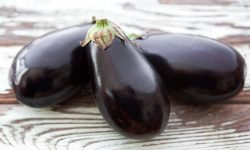 21 Types of Eggplants with Pictures and Care Guide