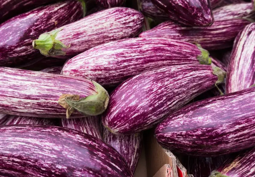 21 Types Of Eggplants With Pictures And Care Guide Graffiti Eggplant Zebra Or Sicilian Eggplant