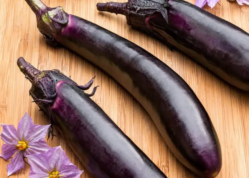 Types of Eggplants