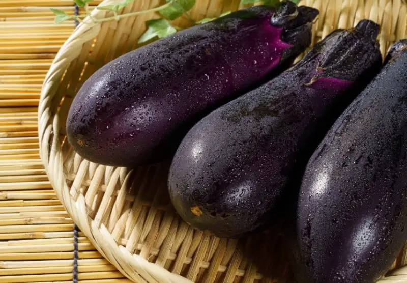 Types of Eggplants