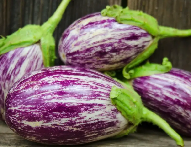 Types of Eggplants