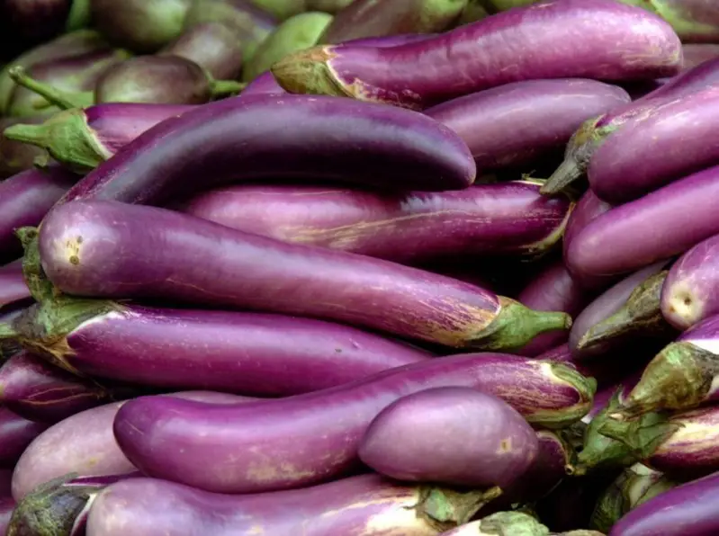 Types of Eggplants