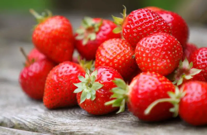 Types of Strawberries