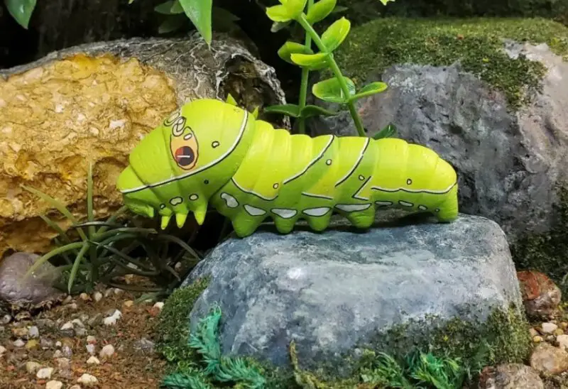 Caterpillars That Look Like Snakes