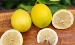 40 Types of Lemons (With Pictures and Identification)