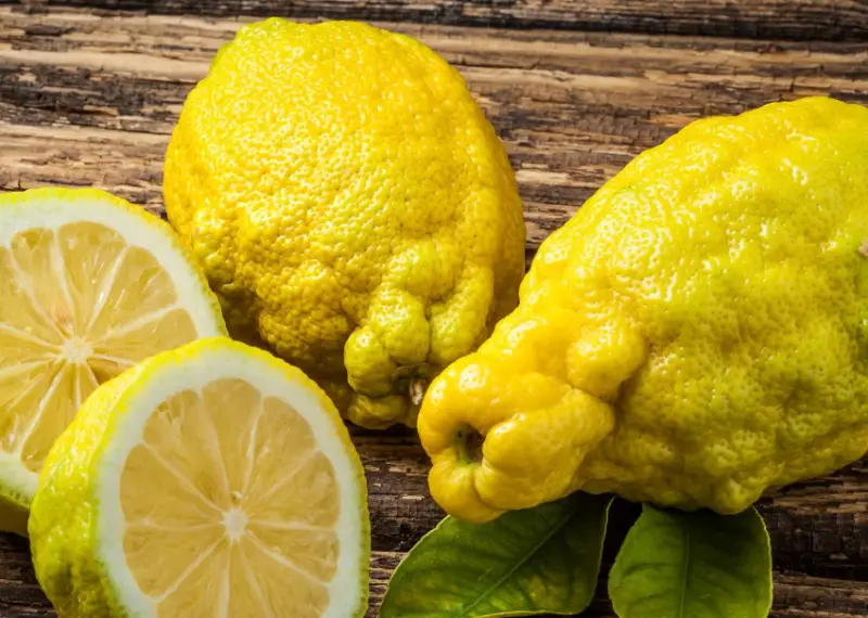 Types of Lemons