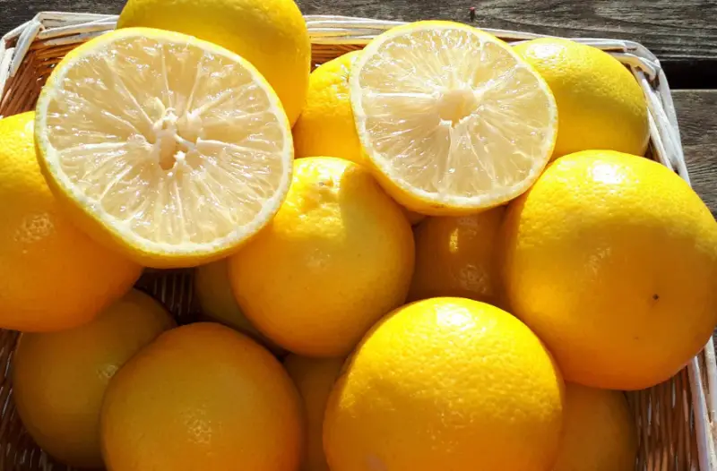 Types of Lemons