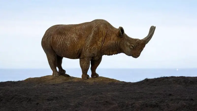 Animals That Start With E