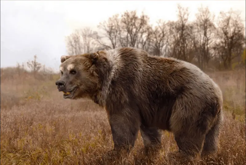 Animals That Start With U