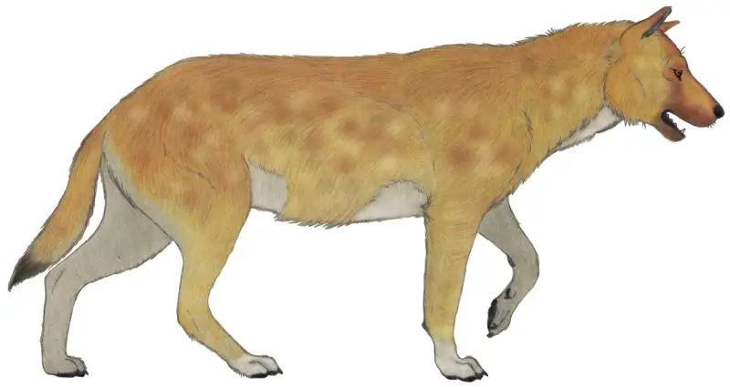 Animals That Start With X