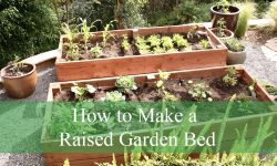 How to Make a Raised Garden Bed Fast and Affordable